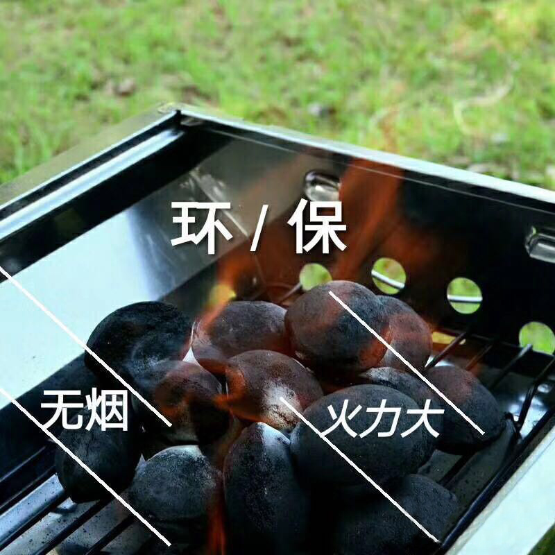 環保炭